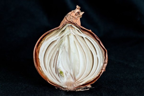 onion dark website